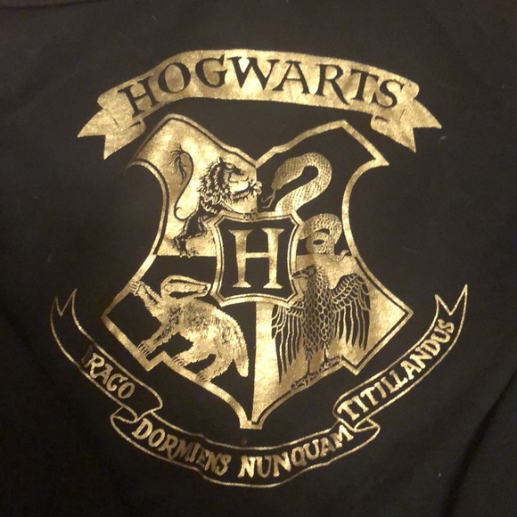 Harry Potter Hogwarts hoodie - Picture 2 of 3
